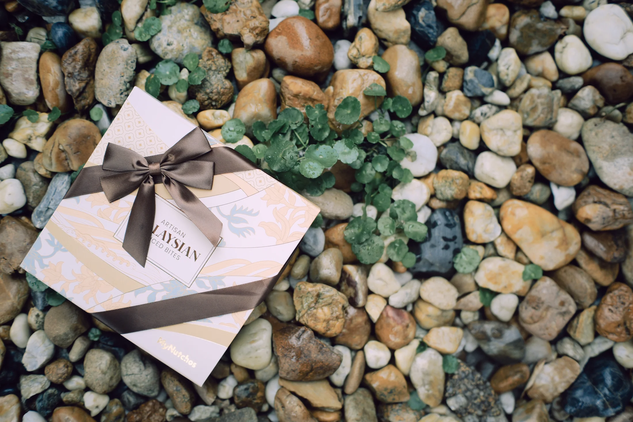 MyNutchos product photograph 3